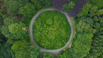 Roundabout in the middle of a forest in Belgium. Circular road surrounded by trees. Roundabout in the middle of a forest in Belgium. Circular road surrounded by trees.