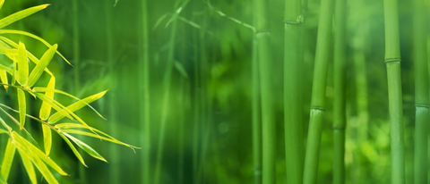 Creating sustainable, lightweight automotive composites with spray transfer molding.