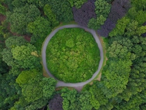 Roundabout in the middle of a forest in Belgium. Circular road surrounded by trees. Roundabout in the middle of a forest in Belgium. Circular road surrounded by trees.